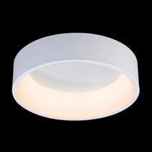 Load image into Gallery viewer, LED SMD Ceiling Fitting
